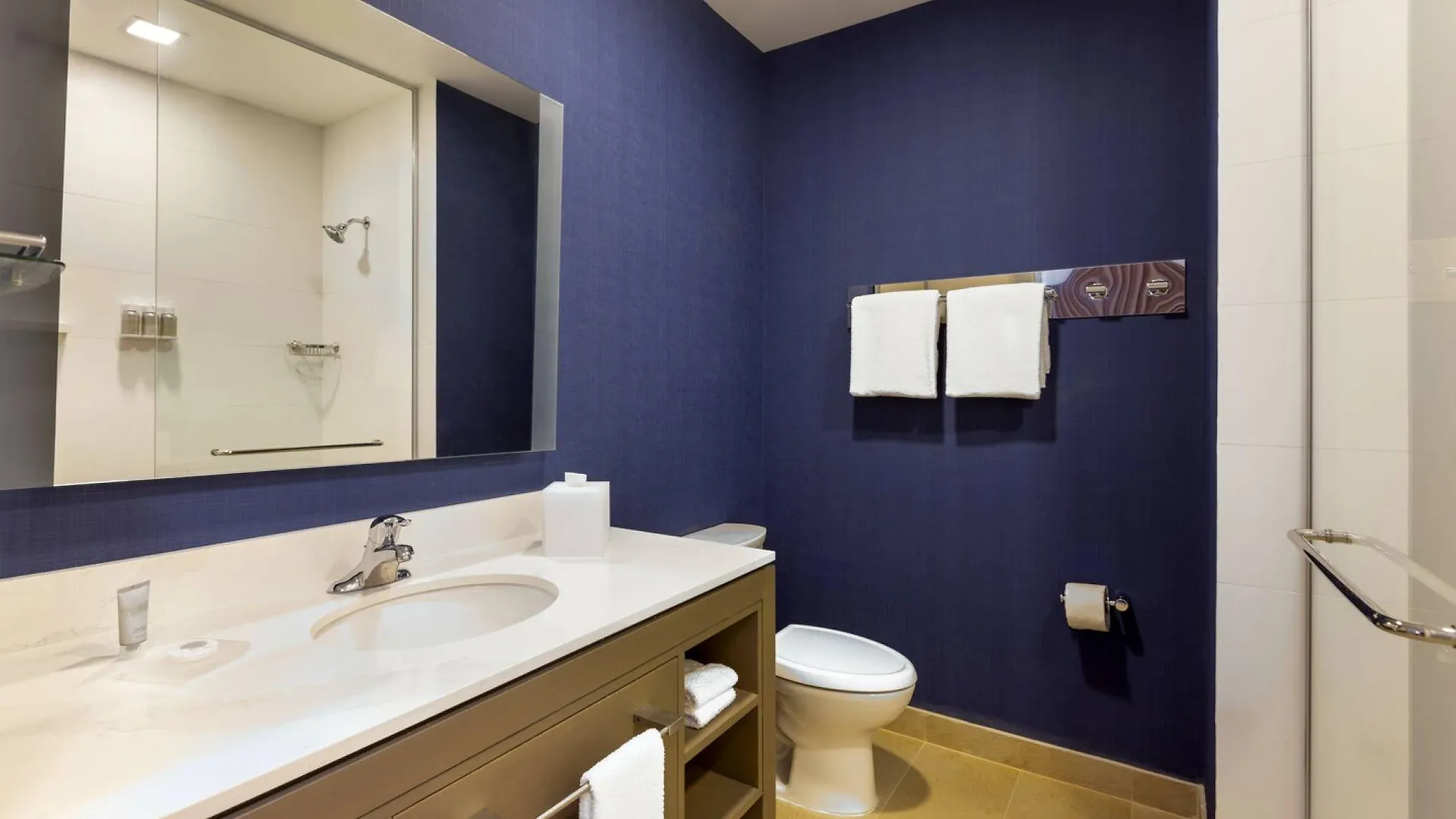 Residence Inn By Marriott بلايا ديل كارمن فندق