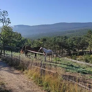 Avec Terrasse Dans Un Domaine Agricole Maison d'hôtes Trigance